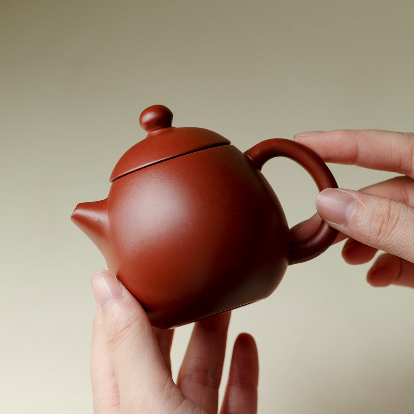 Traditional Chinese Purple Sand Pot